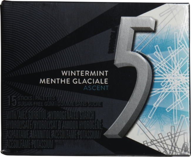 Wintermint Ascent Sugar Free Mint Gum