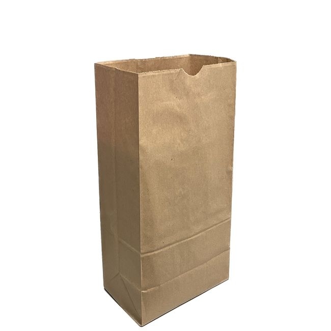 Kraft Paper Grocery Bag