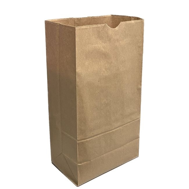 Kraft Paper DD53 Grocery Bag