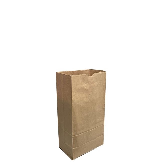 Kraft Paper Grocery Bag