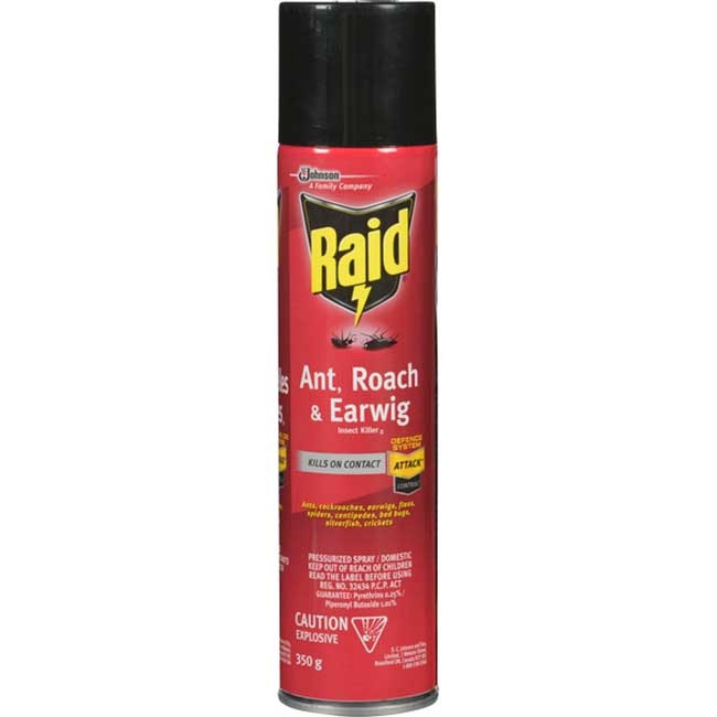 Ant Roach and Earwig Insect Killer