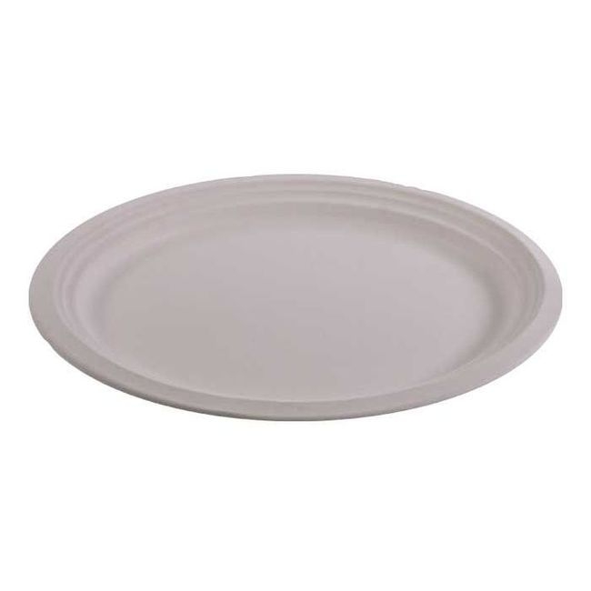 Disposable White Oval Molded Fiber Plate