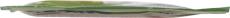 Product thumb gallery 754000000015800000000483268731_child_nis
