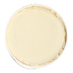 Product thumb gallery 323019