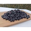 BERRY HASKAP BIO