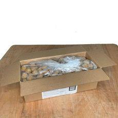 Product thumb gallery 10064579331825_1