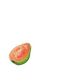 Product thumb gallery 10064579332631