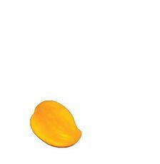 Product thumb gallery 10064579332655