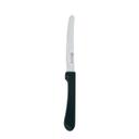 Carnival Stainless Steel Steak Knife with Polypropylene Handle