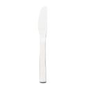 WIN2 13/0 Stainless Steel Mirror Finish Serrated Dinner Knife