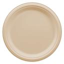 Bagasse Compostable Plate