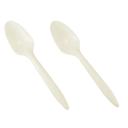 Bioplastic Teaspoons