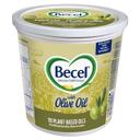 Plant-Based Butter with Olive Oil