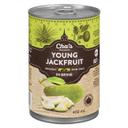 Young Jackfruit in Brine