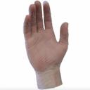 Clear Medium 3 Mil Powder Free Vinyl Gloves