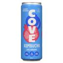 Blueberry Pomegranate Kombucha