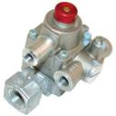 CSCTS11 3/8 in Npt TS Safety Valve