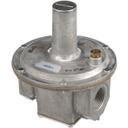 JAD4613700000 Natural Gas Regulator, 1 in