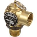 MAR10-7942 17 Psi Safety Pressure Relief Valve, 1/2 in