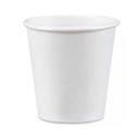 Compostable Paper Hot Cup