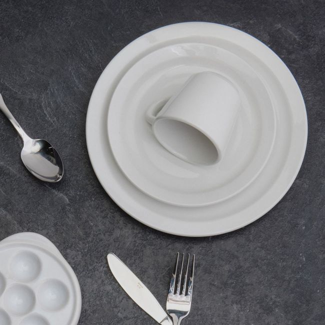 Browne Palm Porcelain White Dinner Plate, 10.4 In -- 24 Per Case