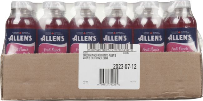 Allen's Fruit Punch Juice, 300 Ml -- 24 Per Case