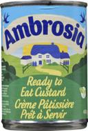 Ready to Eat Custard