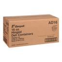 Clear APET Hinged Rectangle Container