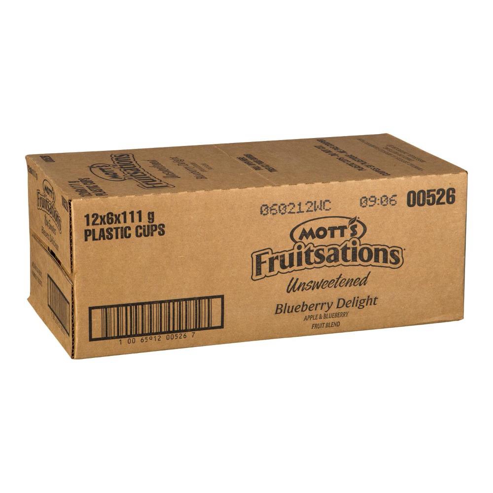 Sugar Free Blueberry Fruit Snack