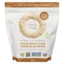 Sprouted Whole Wheat Flour