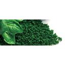 IQF Chopped Spinach