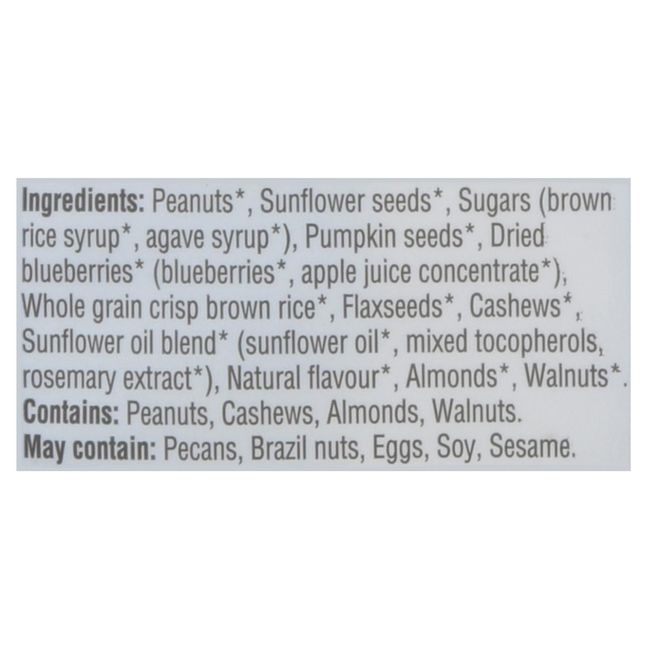 Organic Blueberry Snack Balls