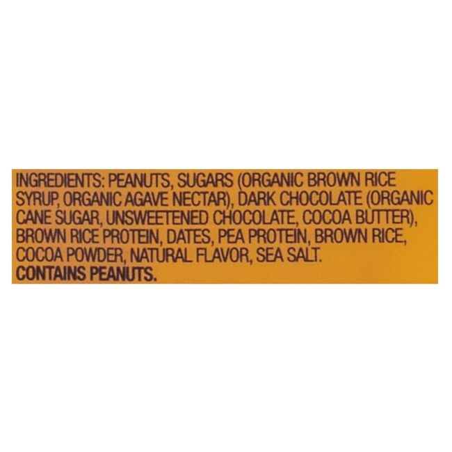 Dark Chocolate Peanut Butter Bites