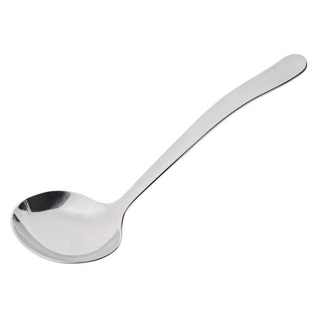New Era Stainless Steel Serving Ladle