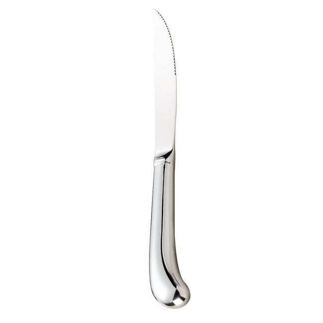 Browne Stainless Steel Hollow Handle Delmonico Steak Knife, 9 In -- 12 Per Case