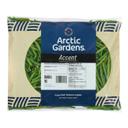 Accent Whole Green Beans