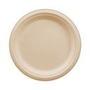 Bagasse Compostable Plate
