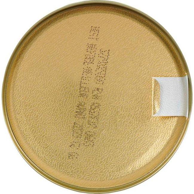 Product gallery 43612537