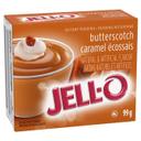 Instant Butterscotch Pudding