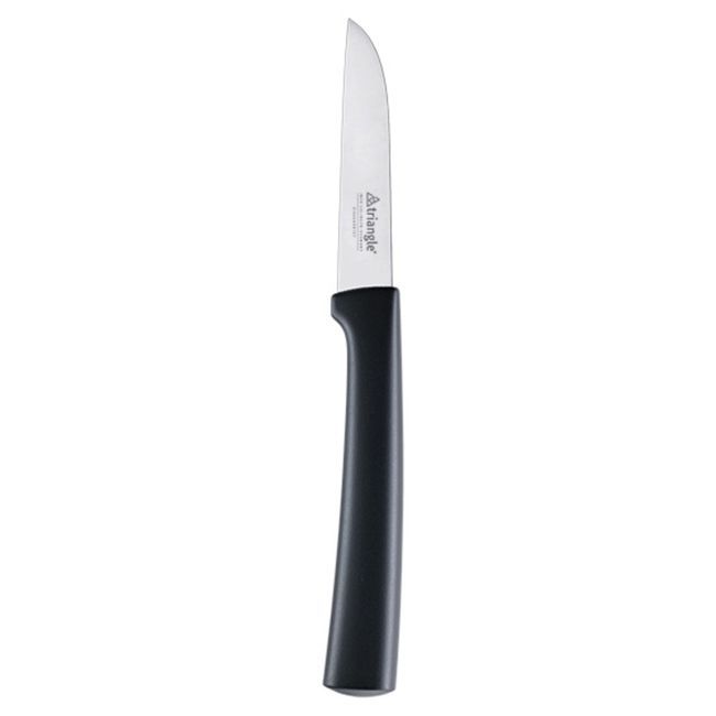 Triangle Stainless Steel Professional Paring Knife With Straight Blade, 7.48 X 0.78 X 0.47 In