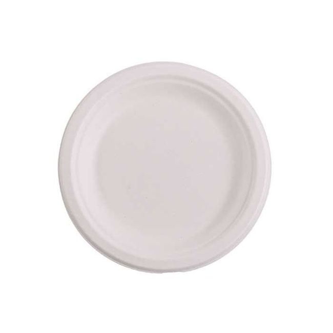 Disposable White Molded Fiber Plate