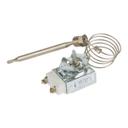 ACE301030004 Thermostat