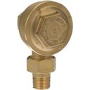 CLEFK20551 1/2 in Mpt Steam Trap