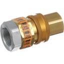 DORB100 1 in Fpt Quick Gas Disconnect