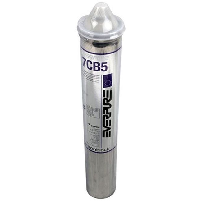 EVEEV961811 Steamer-7CB5 Filter Cartridge