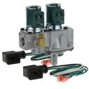 GAR1754901 1/2 in Fpt 25 Volts Dual Gas Solenoid Valve