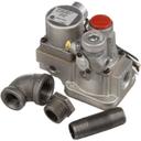 GROZ097001 120 Volts 1/2 x 3/4 in Fpt Baso Natural Gas/LP Safety Valve