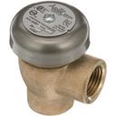 ISGD2241 1/2 in Fpt Brass Vacuum Breaker
