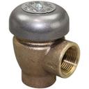 ISGD2243 3/4 in Npt Conbraco Cast Body Vacuum Breaker