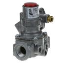 PIT60139101 Safety Valve